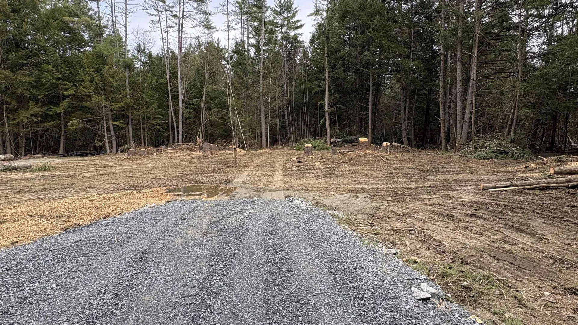 135 Forest Road Acworth NH 03601