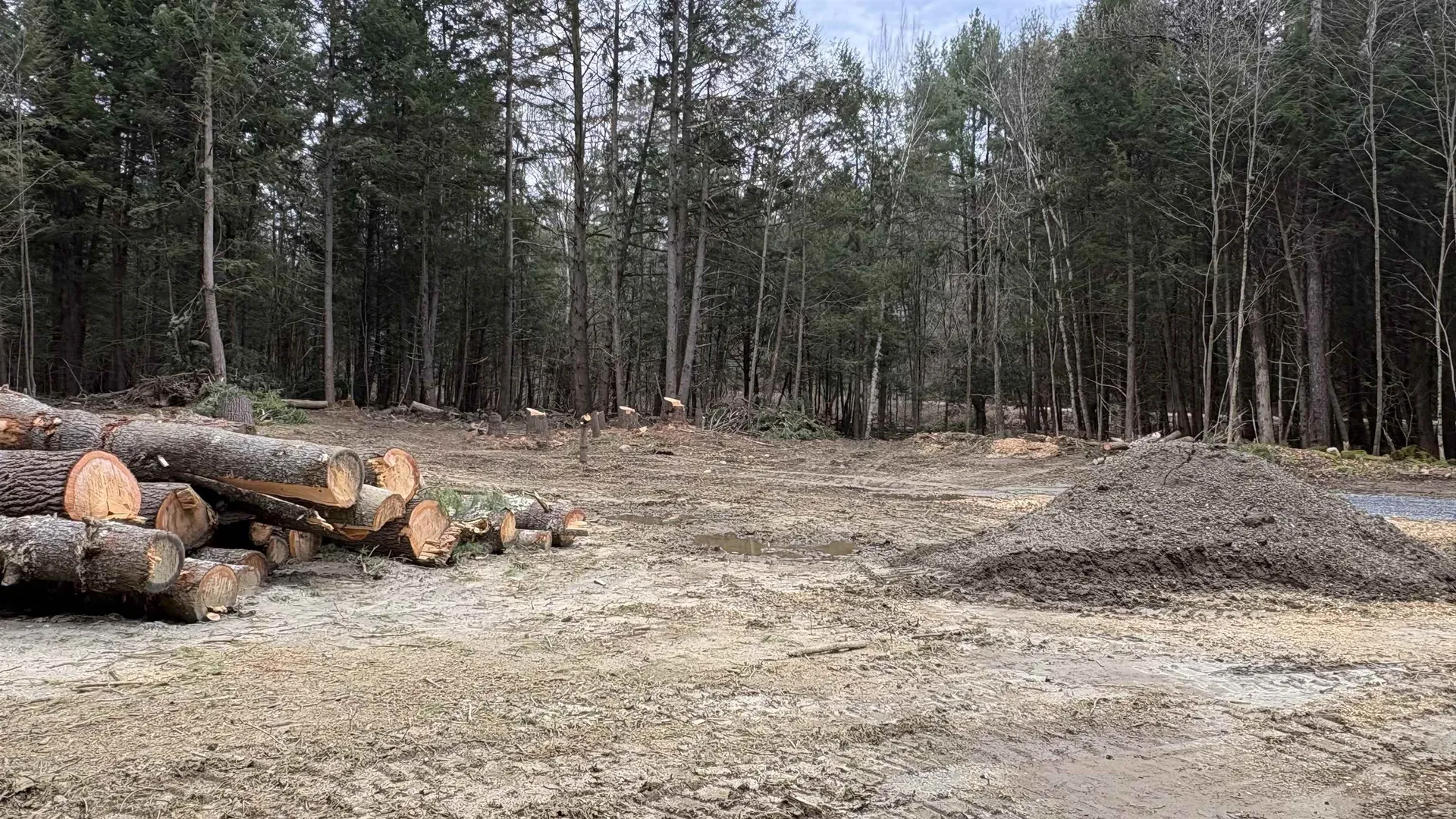 135 Forest Road Acworth NH 03601