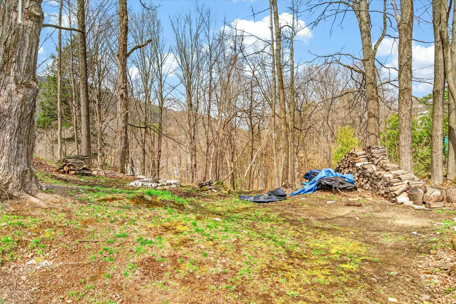 25 Bluff Street Proctor VT 05765-1008