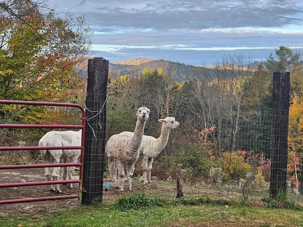 2371 Sanders Road Bethel VT 05032