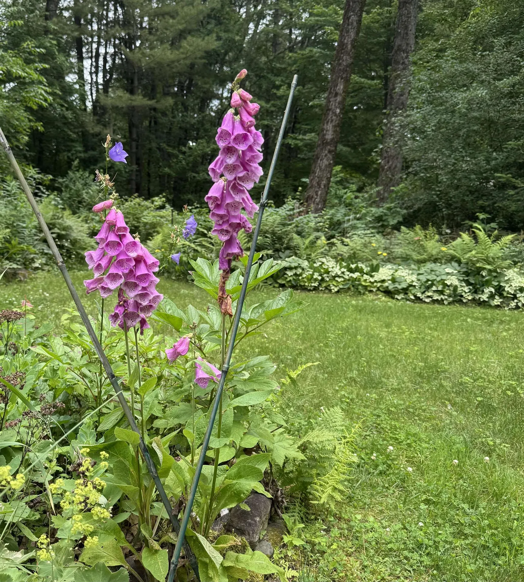 13 Tanglewood Drive Essex VT 05452