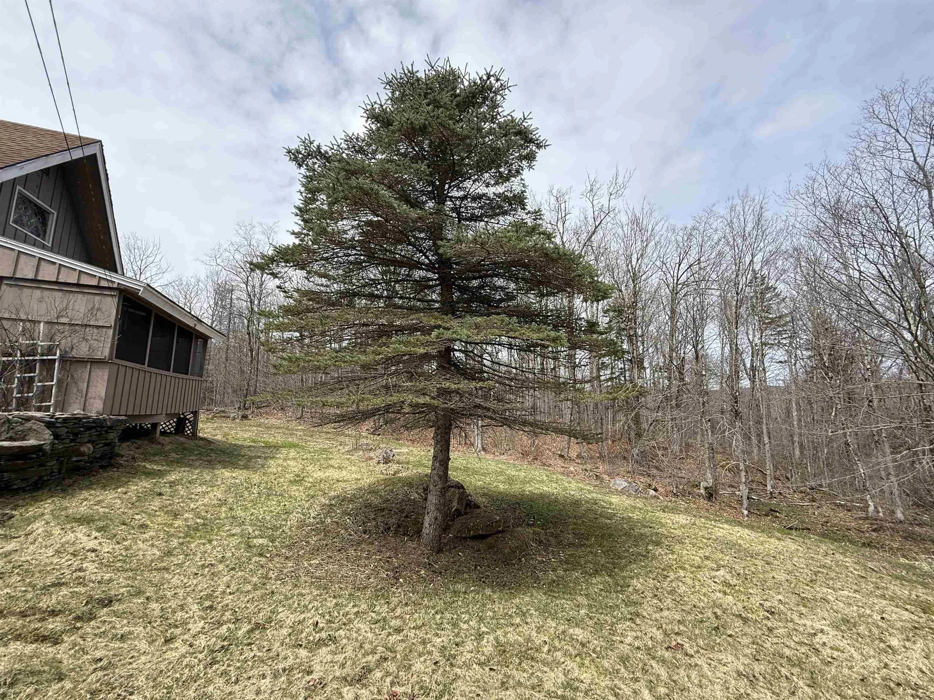 364 Oberdorf Road Readsboro VT 05350