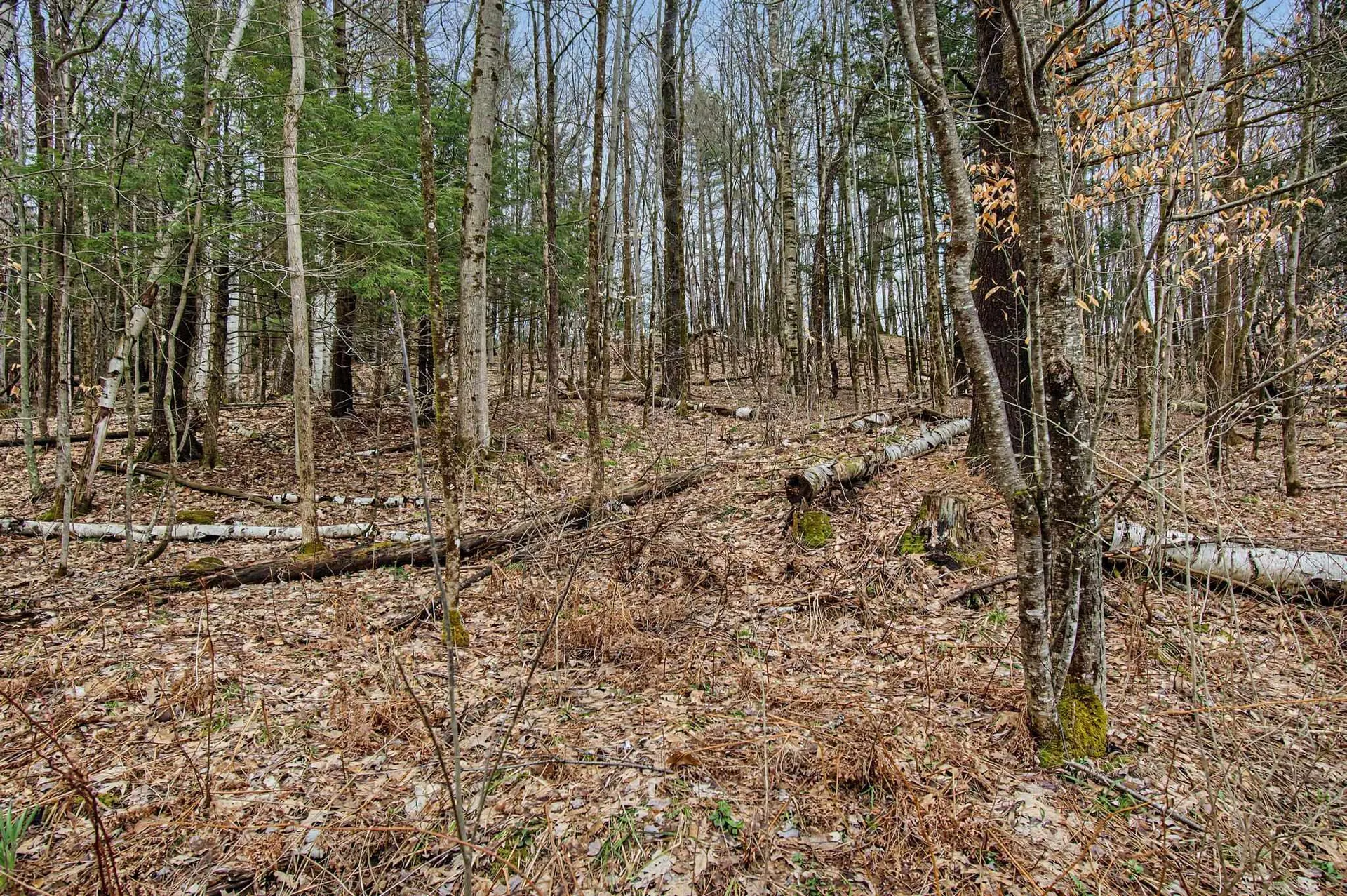 150 The Hill Road Fletcher VT 05444