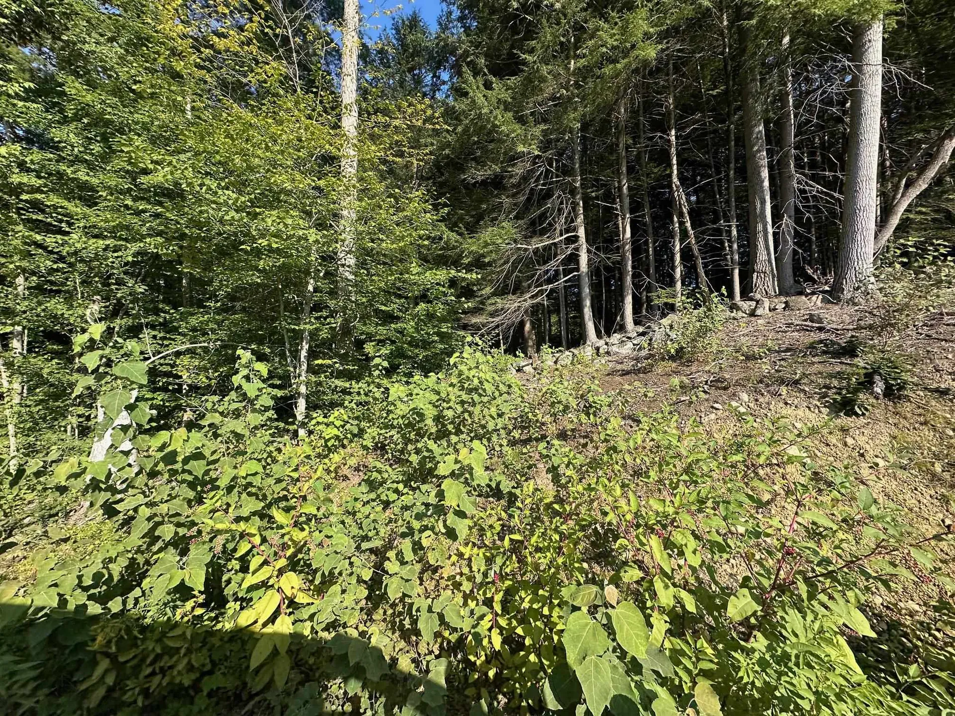 90 Old Swanzey Road Winchester NH 03470