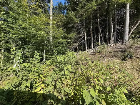 90 Old Swanzey Road Winchester NH 03470