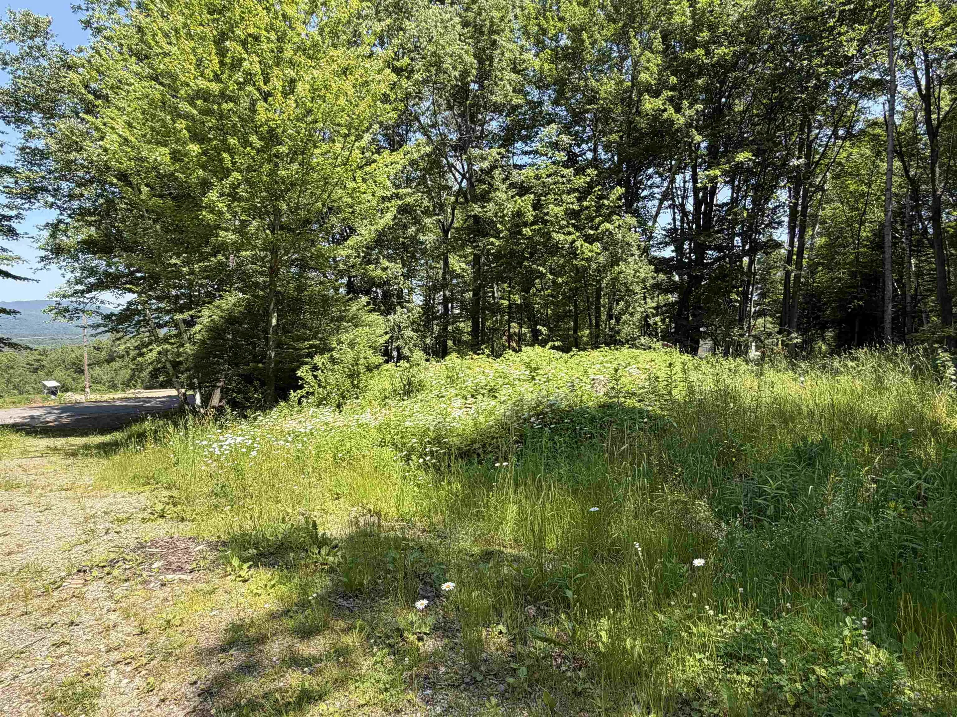 327 South Road Bethlehem NH 03574