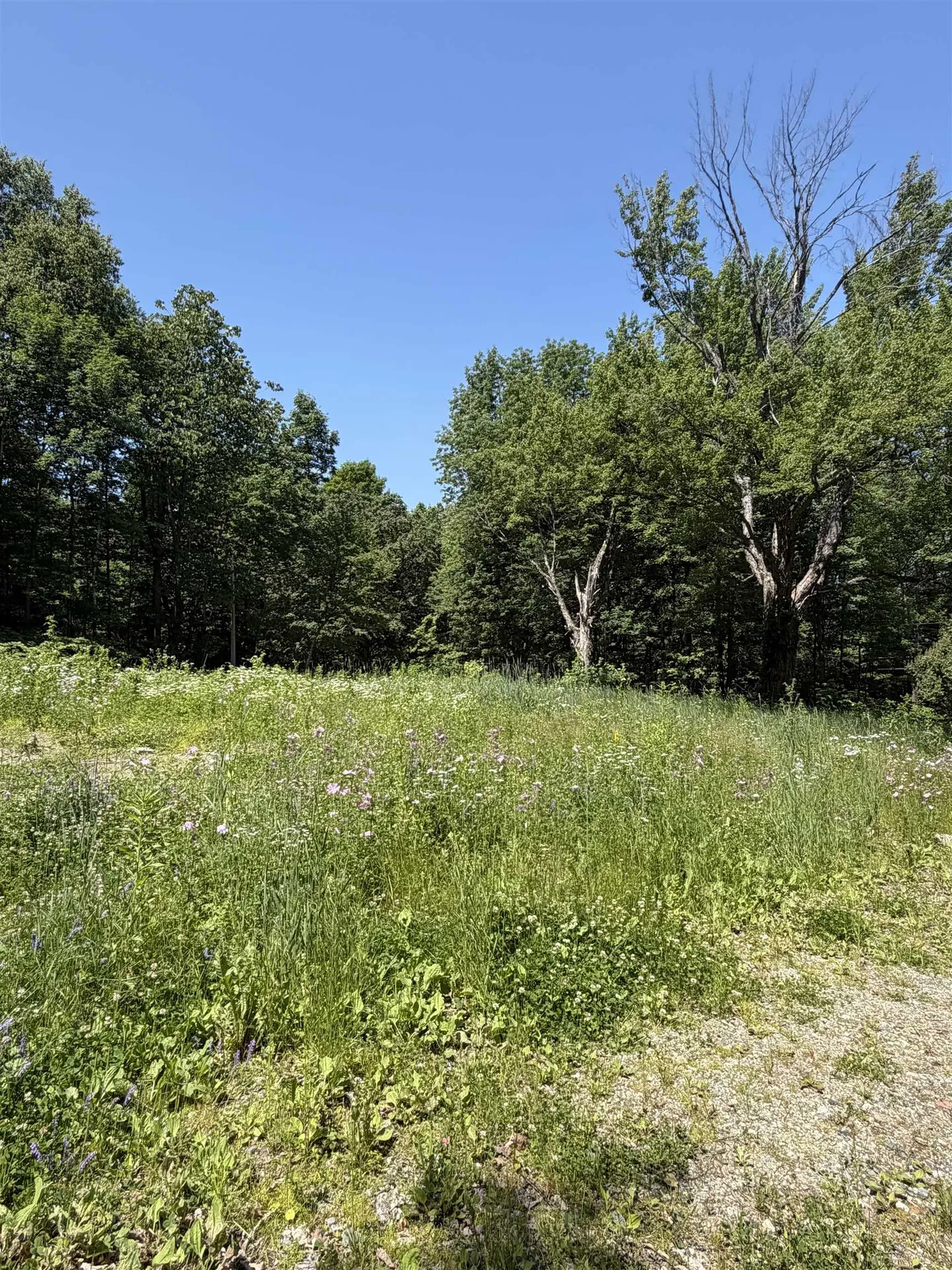 327 South Road Bethlehem NH 03574