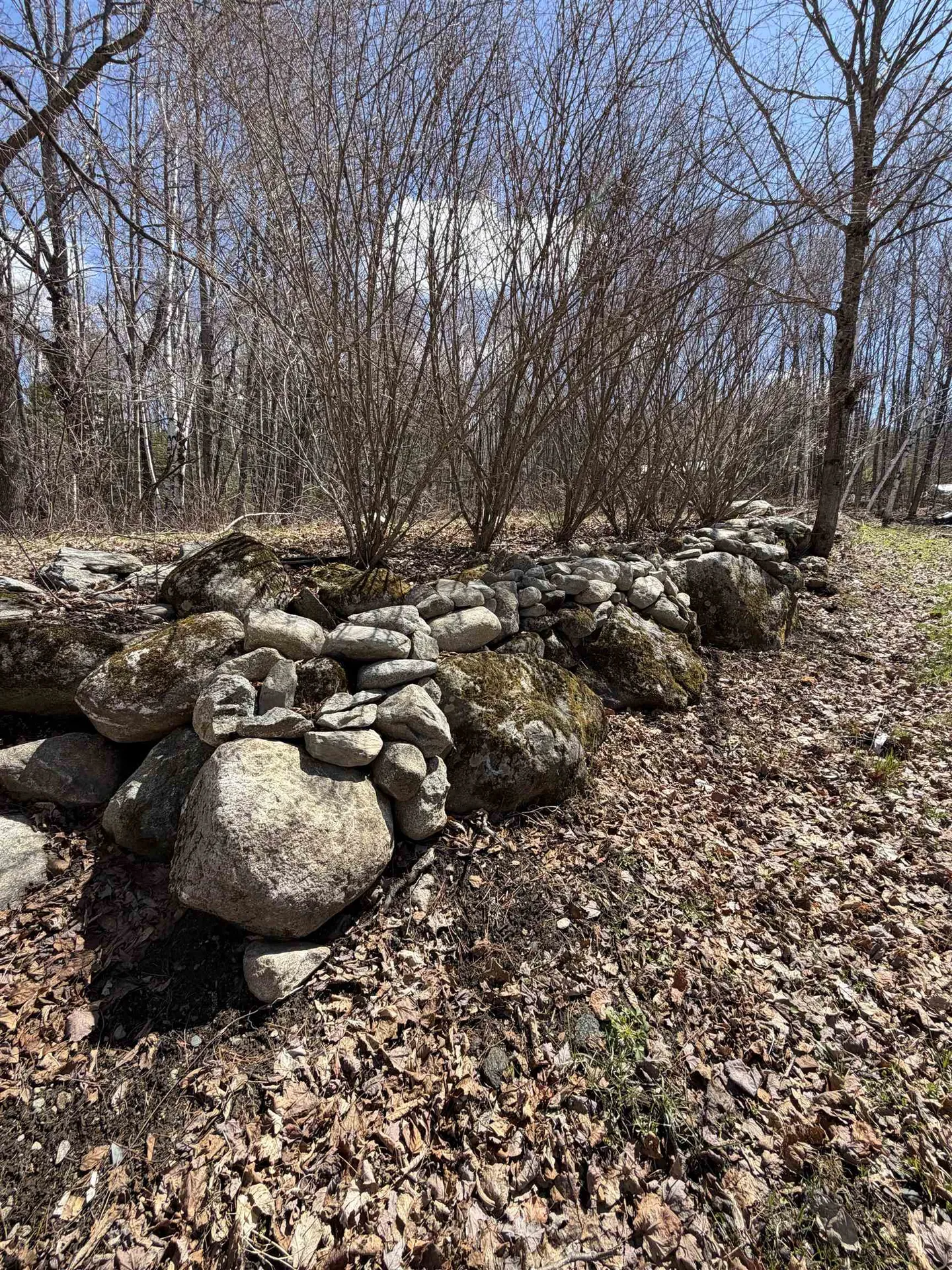 327 South Road Bethlehem NH 03574