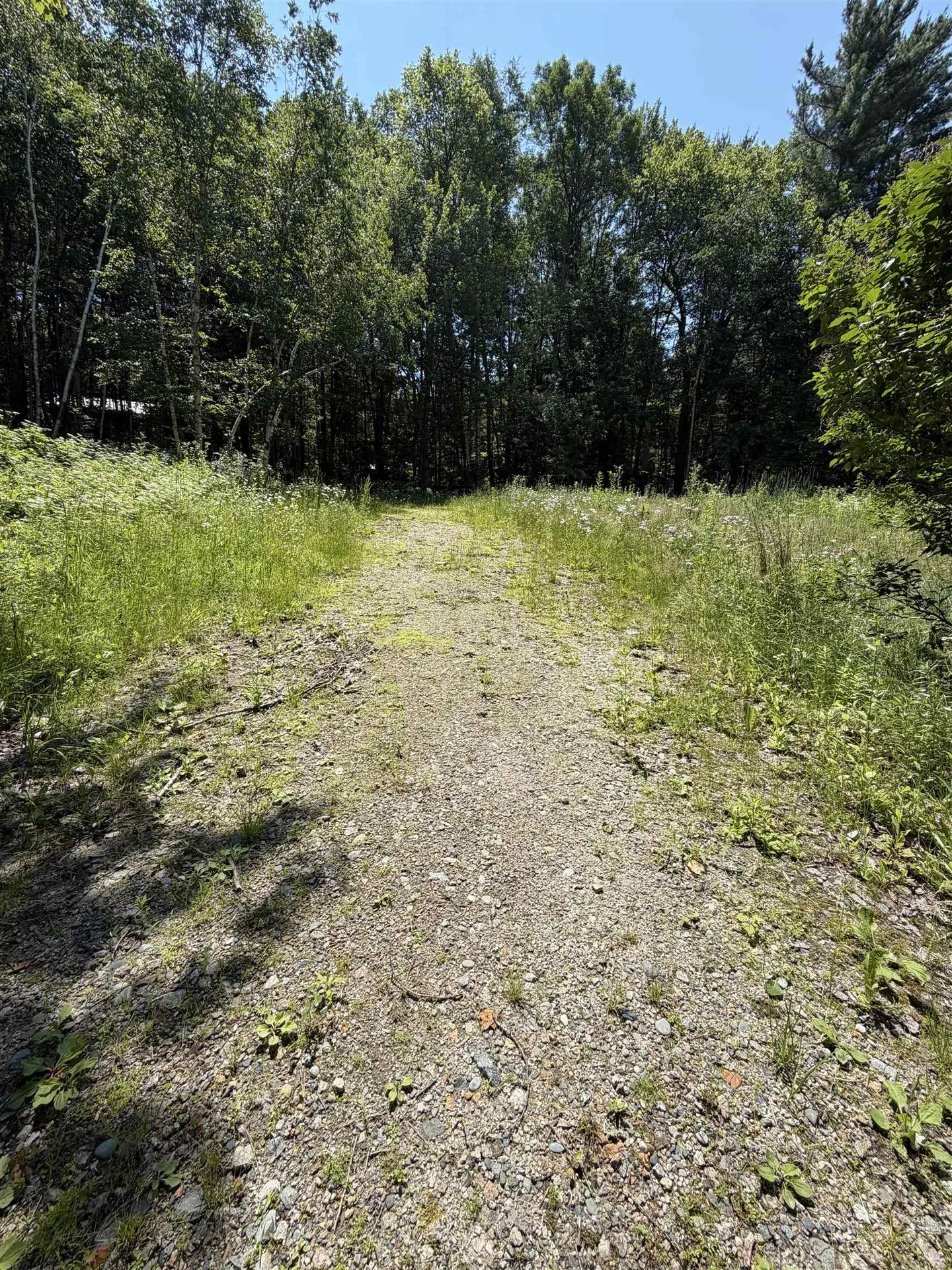 327 South Road Bethlehem NH 03574