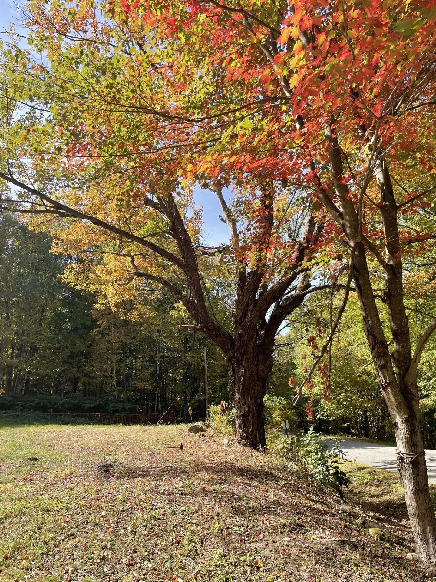 327 South Road Bethlehem NH 03574