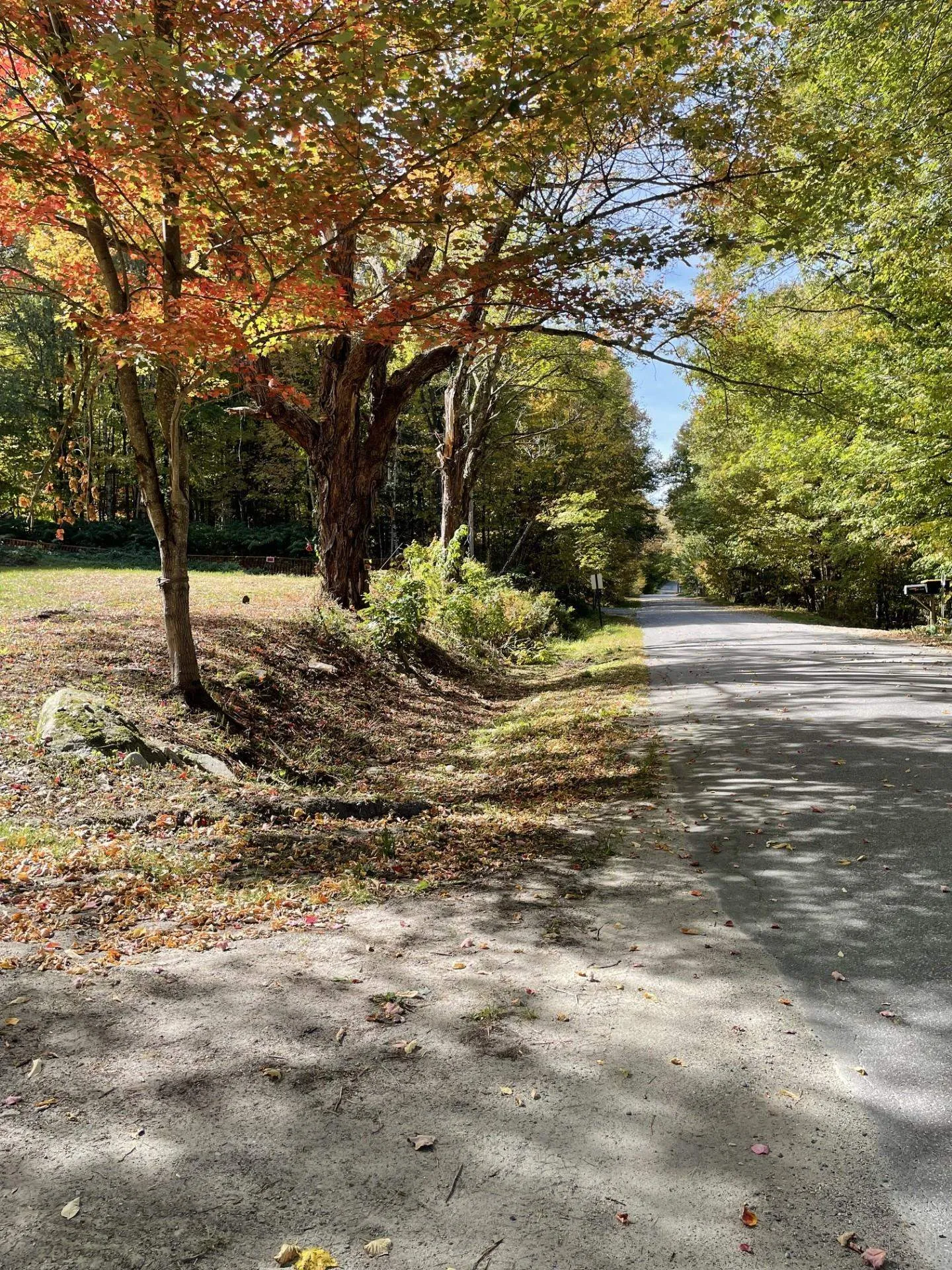 327 South Road Bethlehem NH 03574