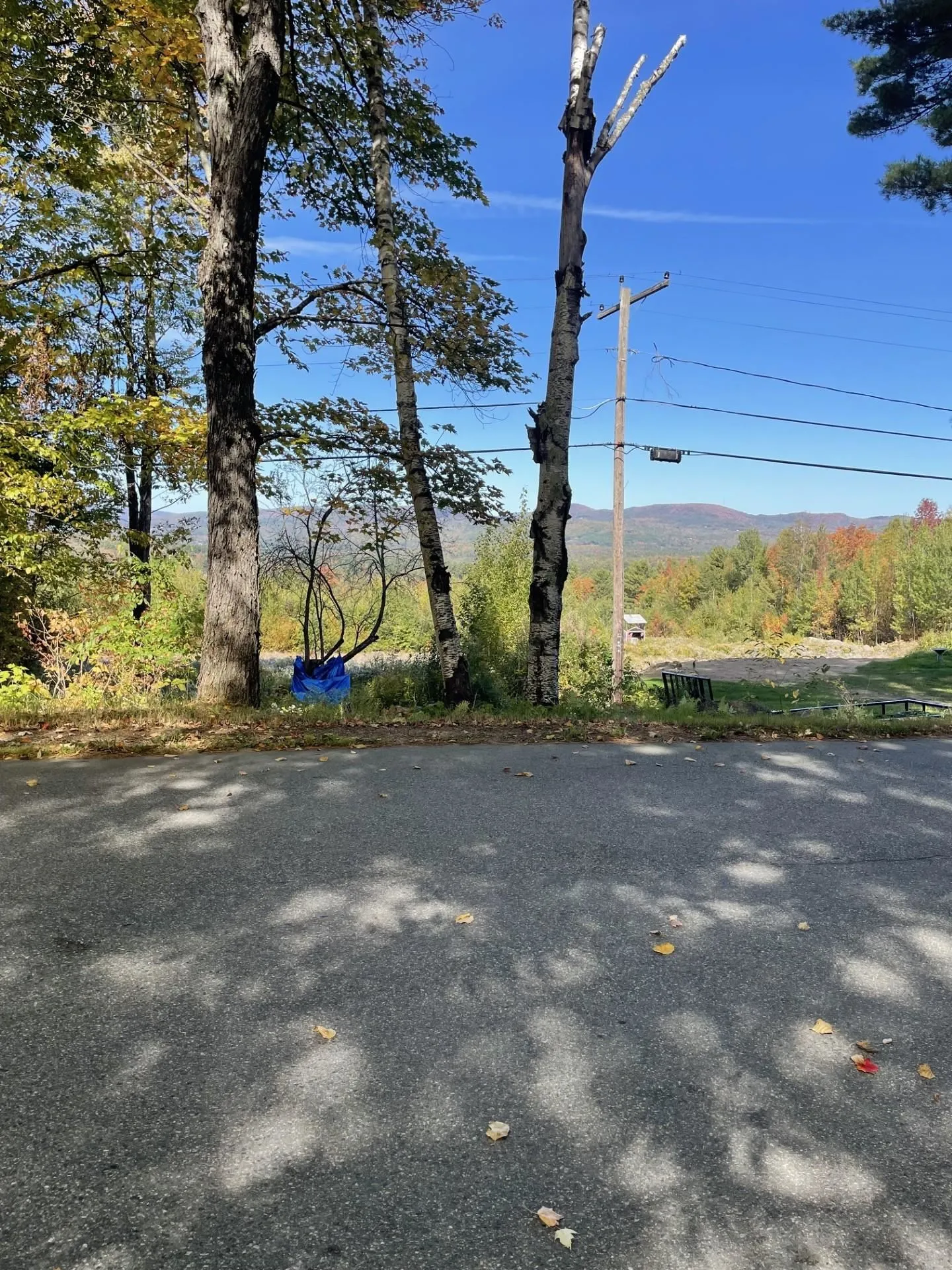 327 South Road Bethlehem NH 03574