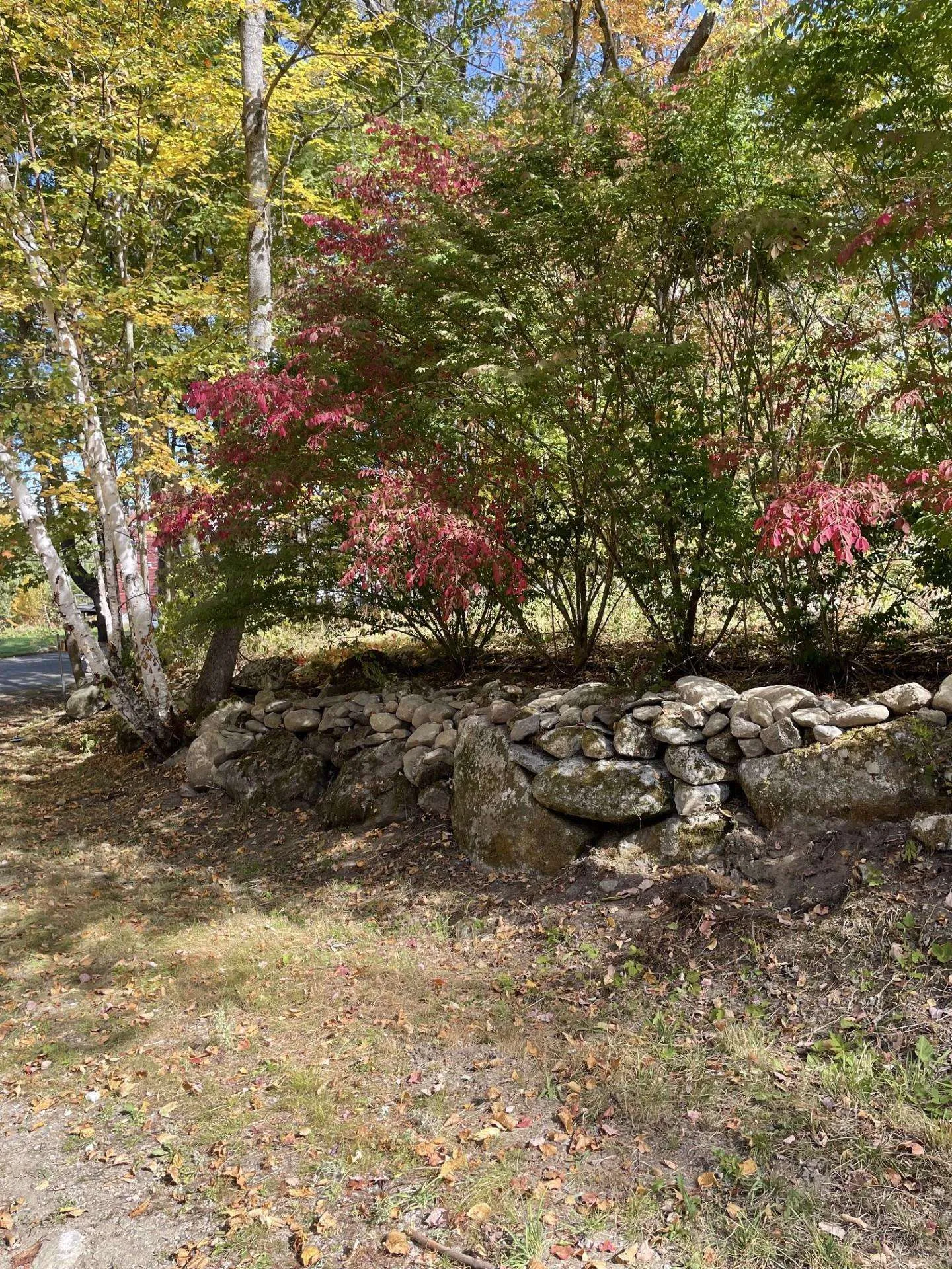 327 South Road Bethlehem NH 03574