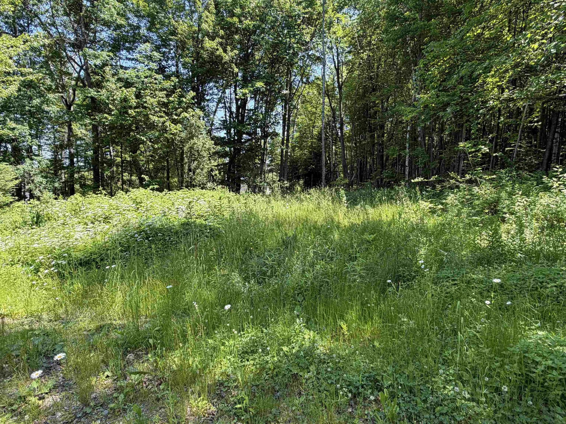 327 South Road Bethlehem NH 03574