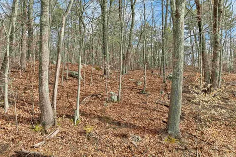Lot 5-7 Avery Hill Road Alton NH 03810