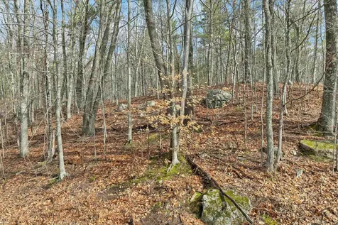 Lot 5-7 Avery Hill Road Alton NH 03810