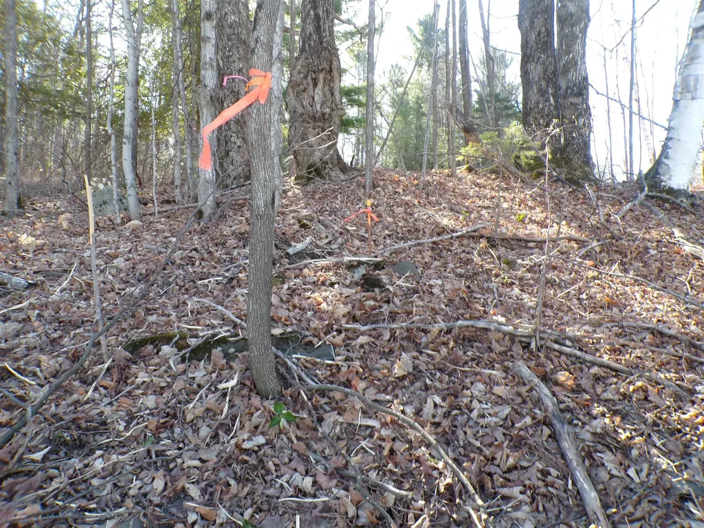 440 Baird Road Barton VT 05822