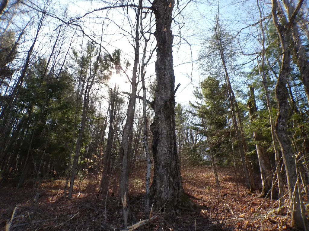 440 Baird Road Barton VT 05822