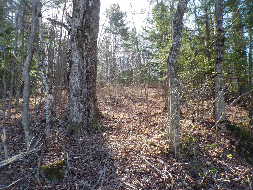 440 Baird Road Barton VT 05822