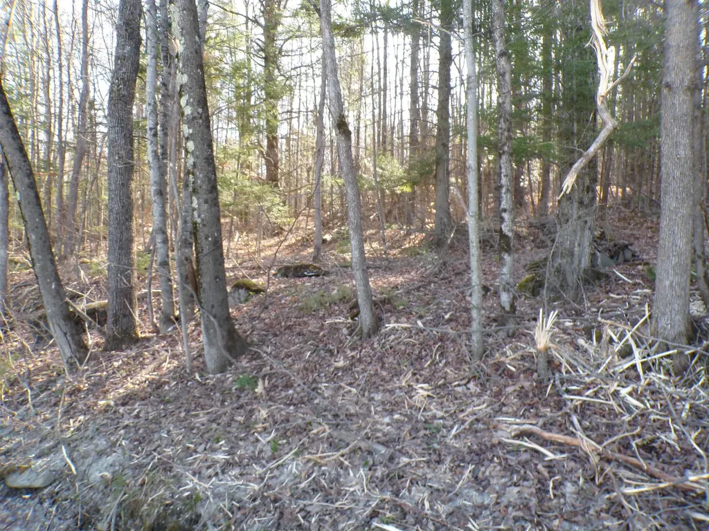 440 Baird Road Barton VT 05822