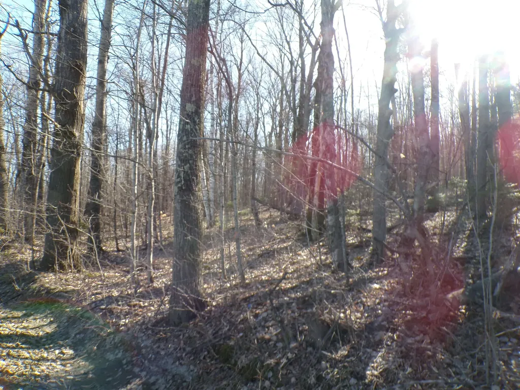 440 Baird Road Barton VT 05822