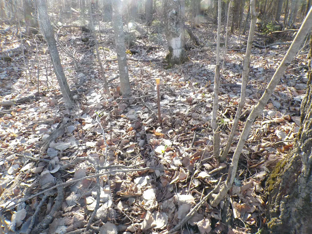 440 Baird Road Barton VT 05822