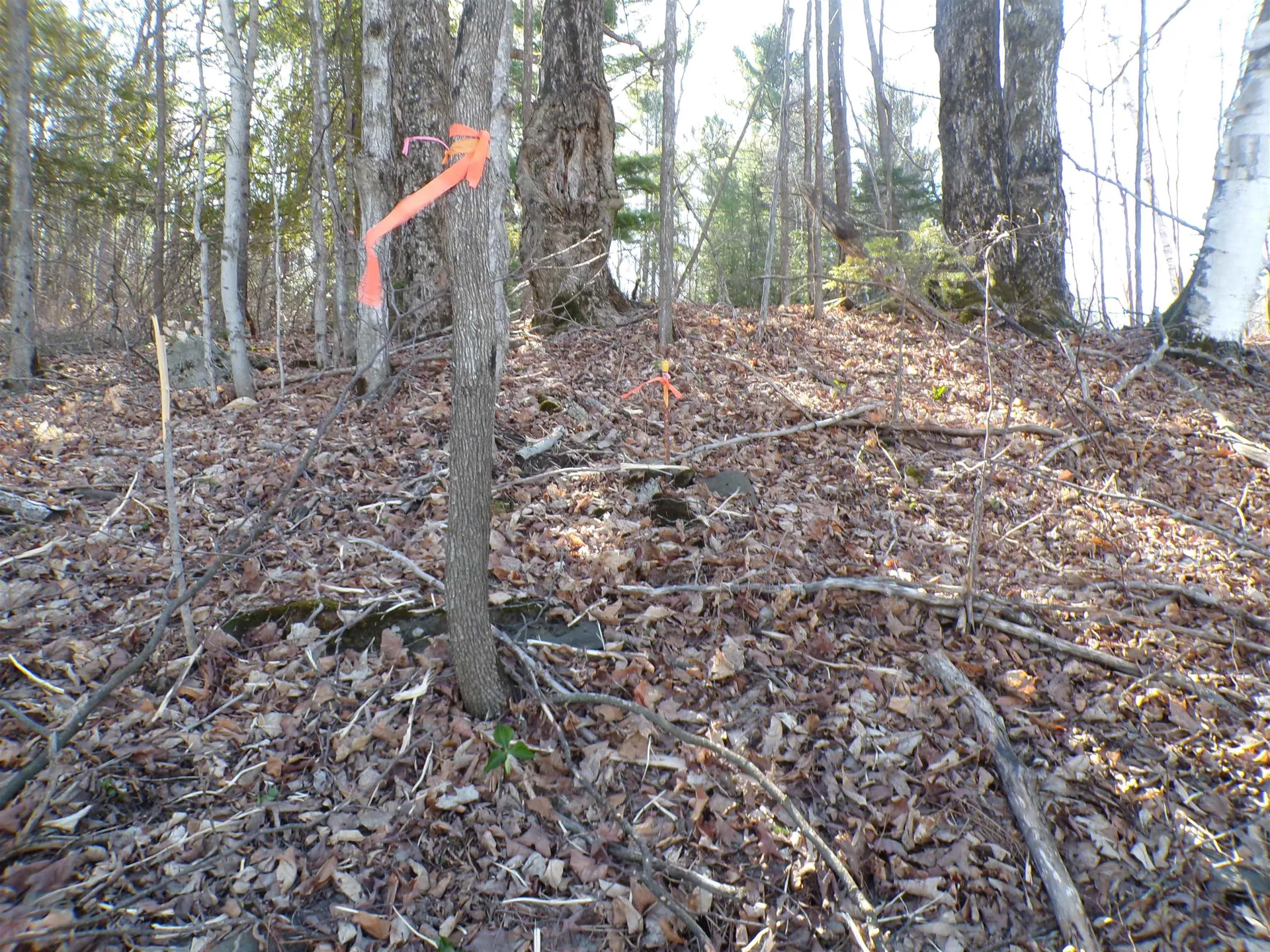 440 Baird Road Barton VT 05822