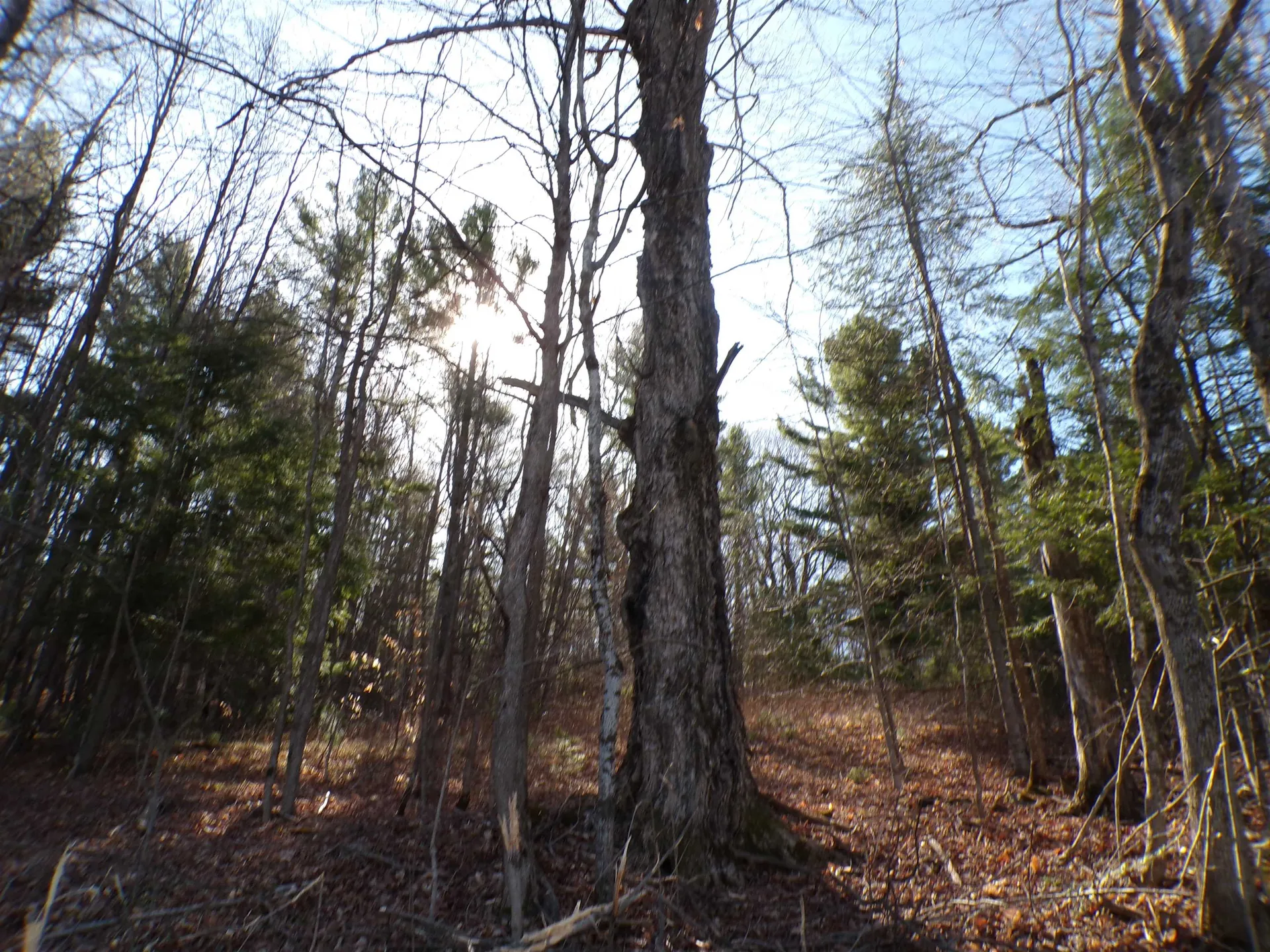 440 Baird Road Barton VT 05822
