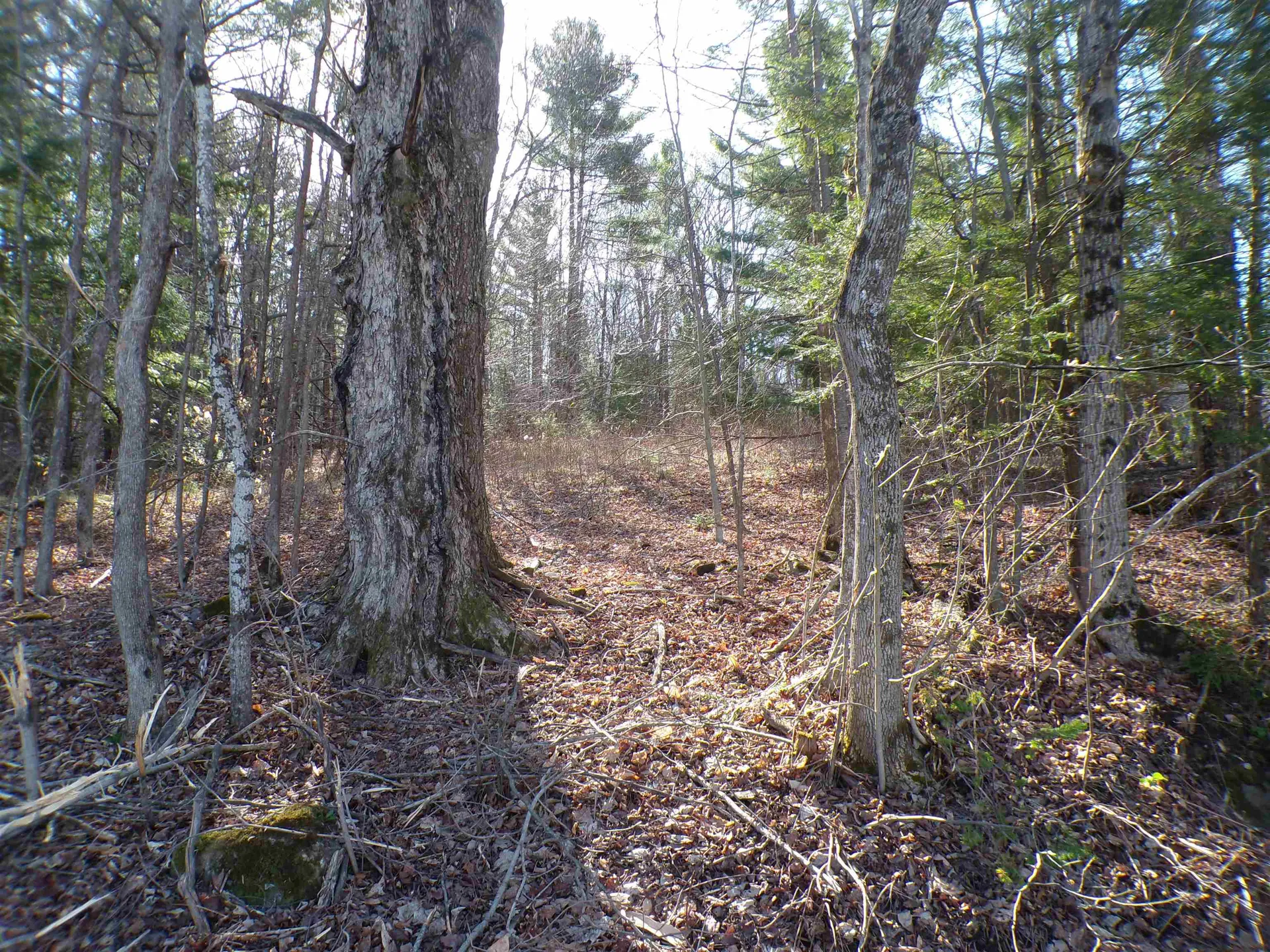 440 Baird Road Barton VT 05822
