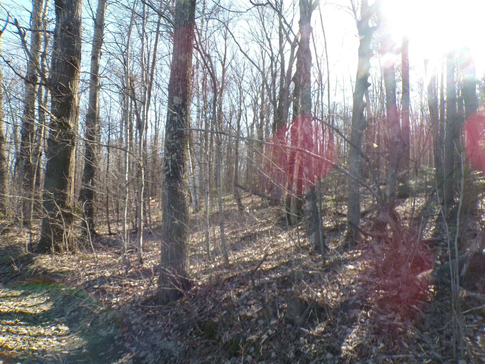440 Baird Road Barton VT 05822