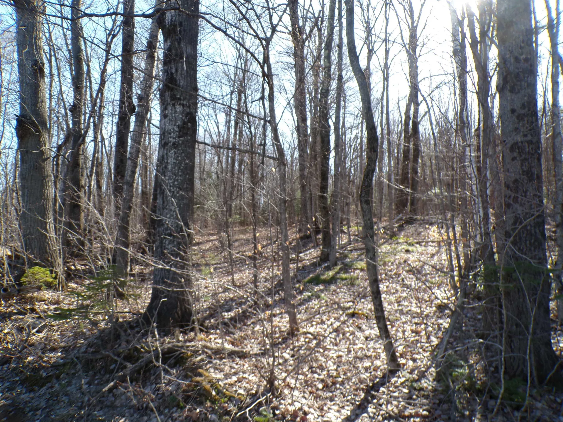 440 Baird Road Barton VT 05822