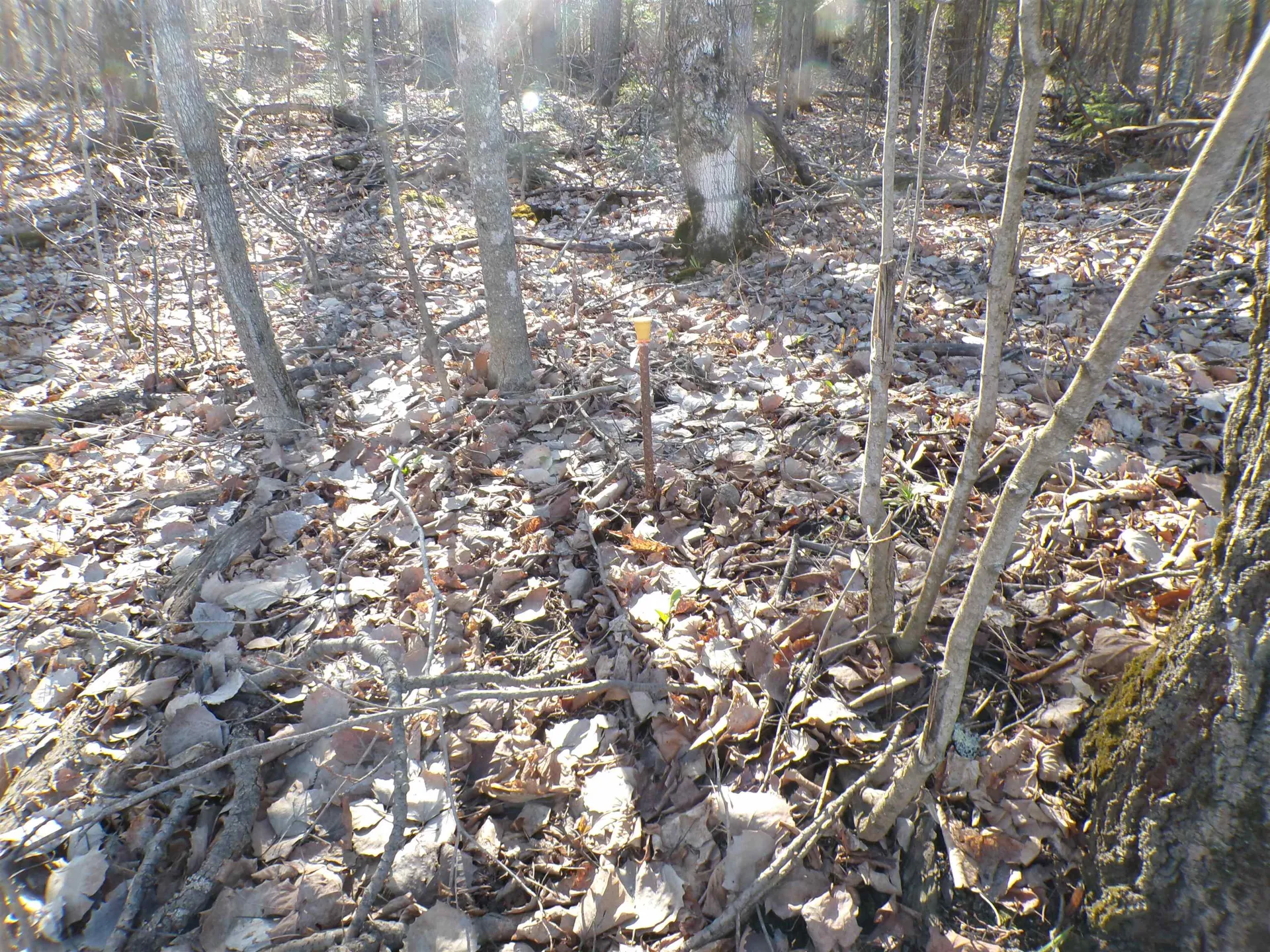 440 Baird Road Barton VT 05822