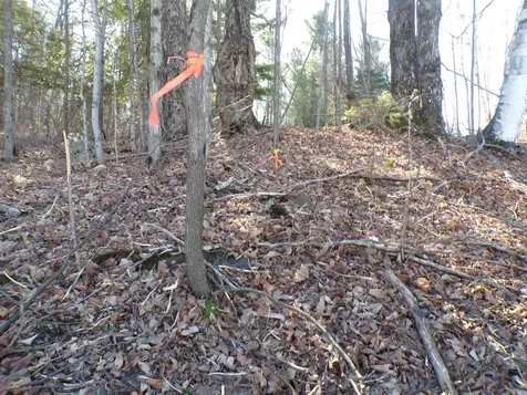 440 Baird Road Barton VT 05822