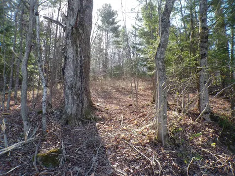 440 Baird Road Barton VT 05822