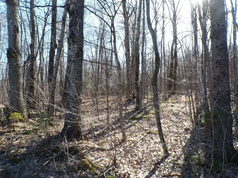 440 Baird Road Barton VT 05822