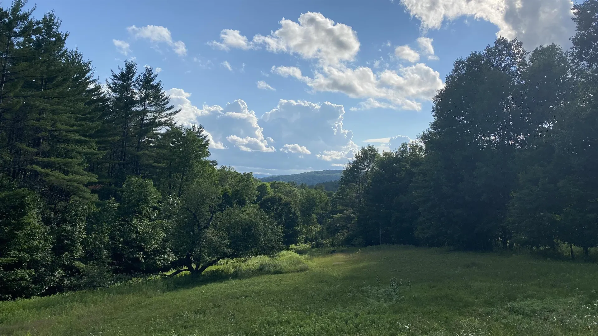 112 Chapel Hill Road Norwich VT 05055