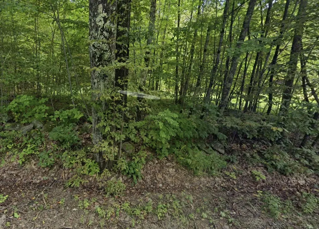 Lot 13 North Wilmot Road Wilmot NH 03287