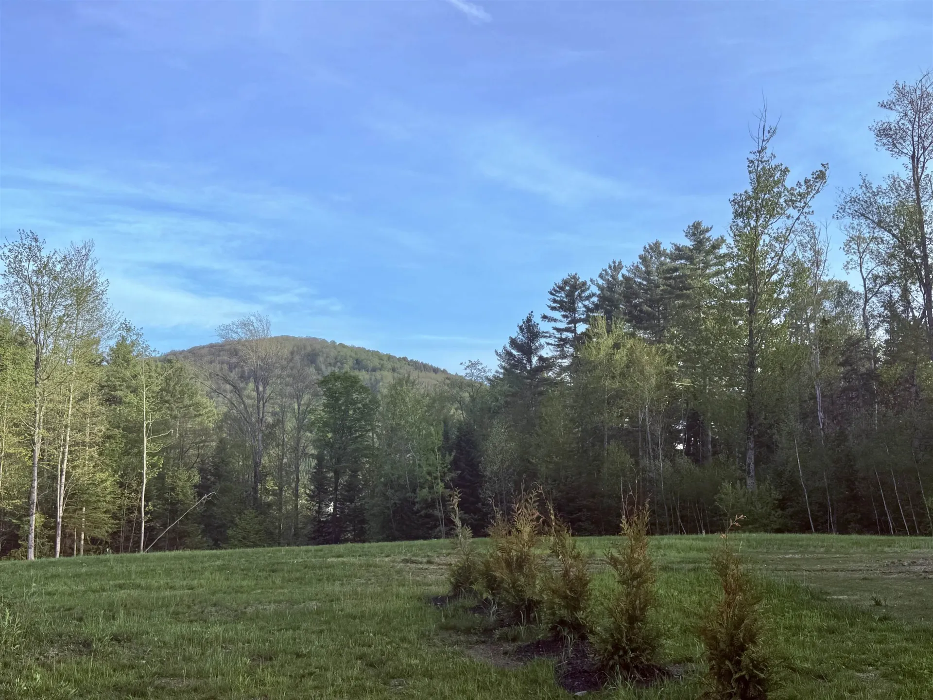 177 Old Tavern Road Weston VT 05161