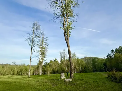 177 Old Tavern Road Weston VT 05161