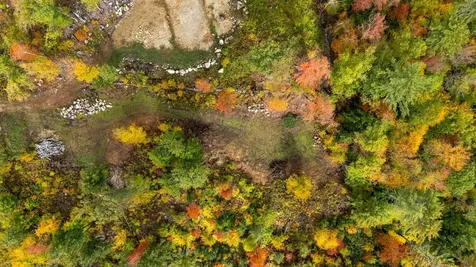 74 Kearsarge Mountain Road Warner NH 03278