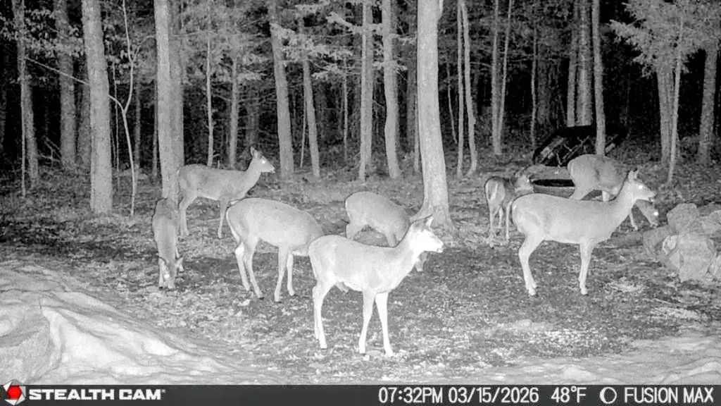 15 Wildcat Drive Haverhill NH 03785