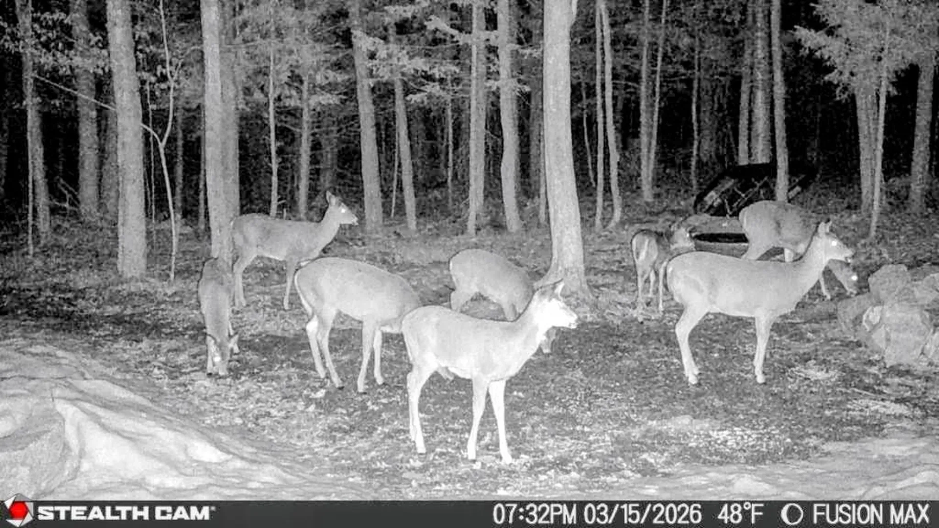 15 Wildcat Drive Haverhill NH 03785