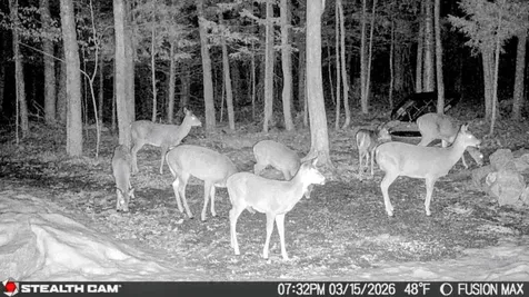 15 Wildcat Drive Haverhill NH 03785