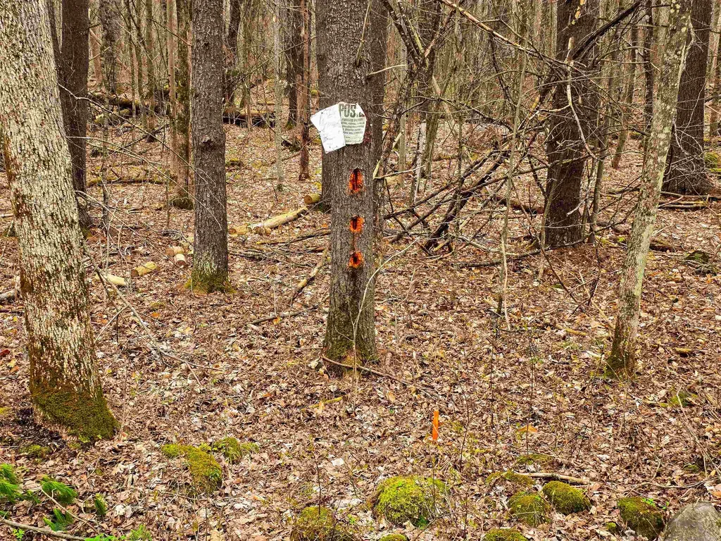 765 Camp Road Hubbardton VT 05733