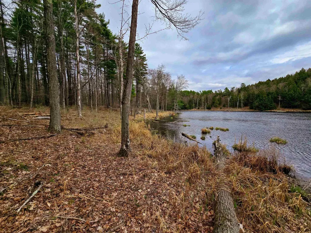 765 Camp Road Hubbardton VT 05733