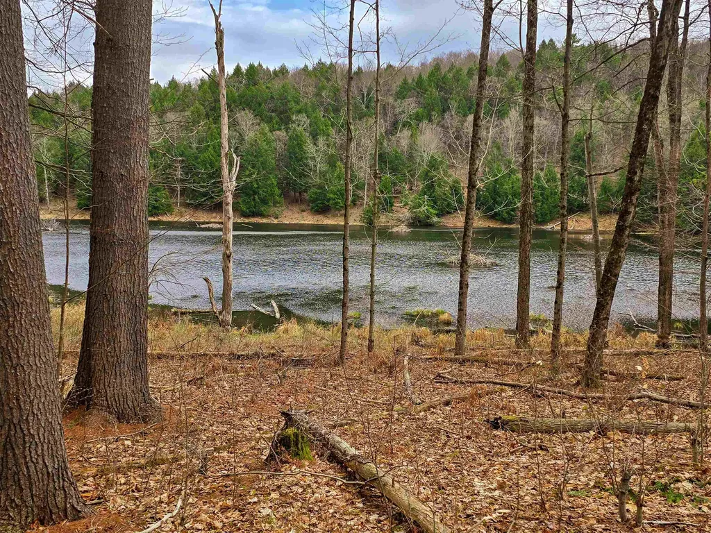 765 Camp Road Hubbardton VT 05733