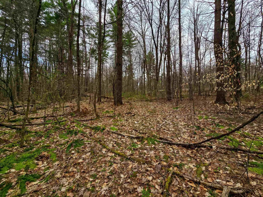 765 Camp Road Hubbardton VT 05733