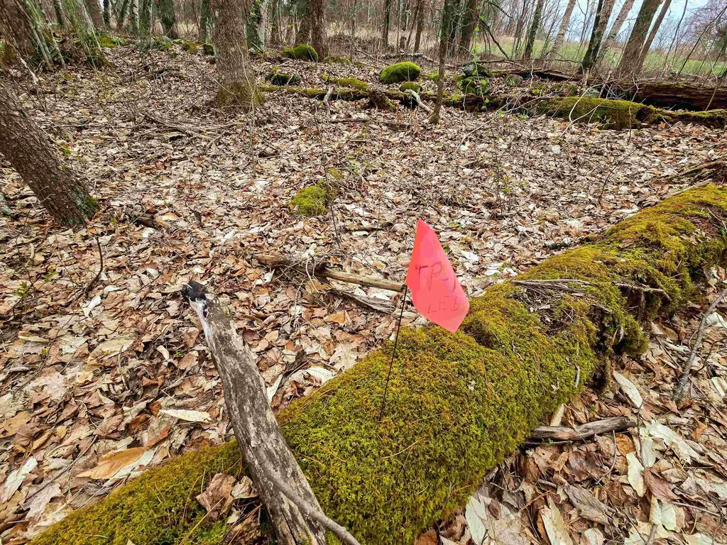 765 Camp Road Hubbardton VT 05733