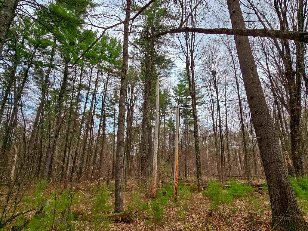 765 Camp Road Hubbardton VT 05733