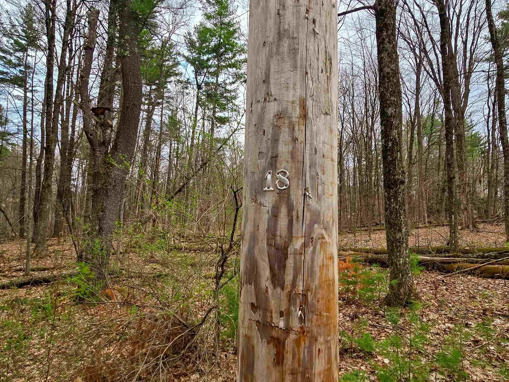 765 Camp Road Hubbardton VT 05733